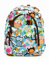 17" Full Size Backpack Bookbag School Tote Bag